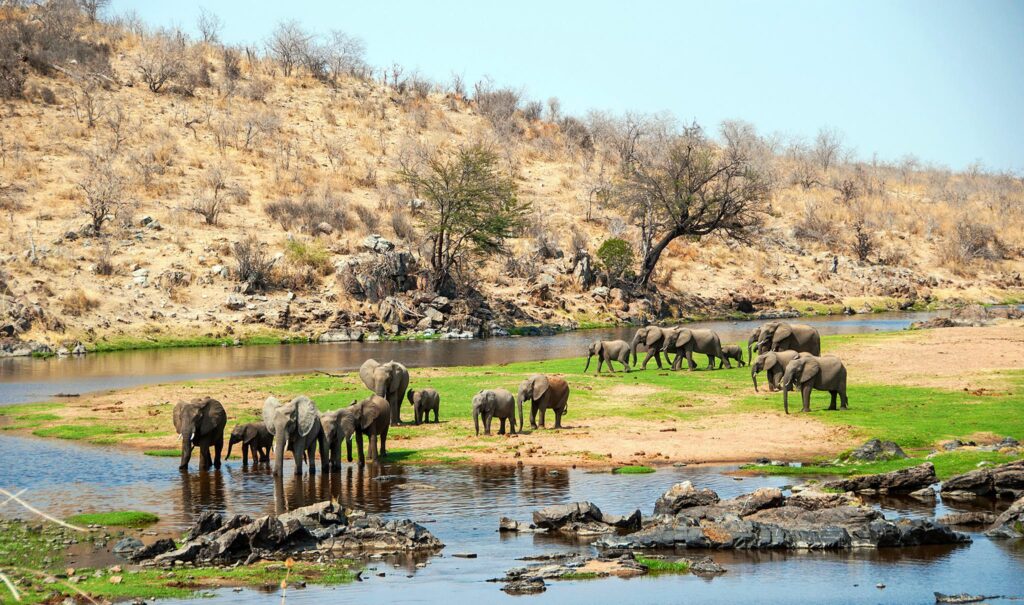 Ruaha National Park