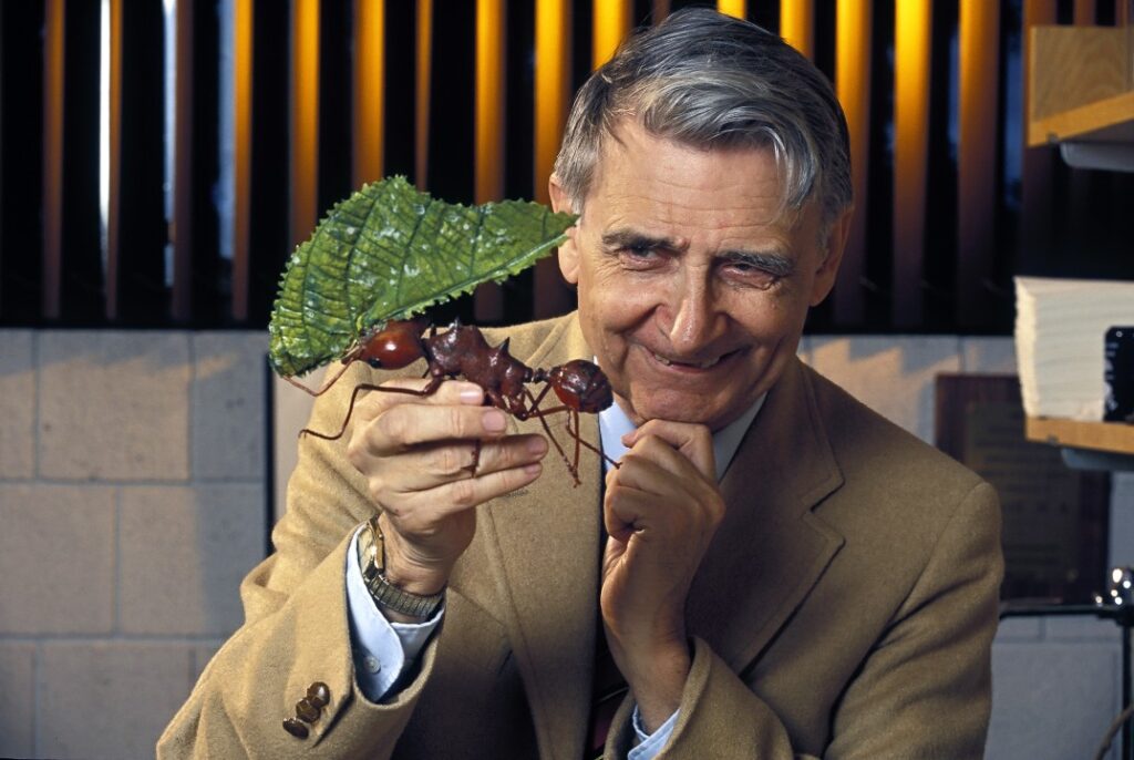 E.O. Wilson