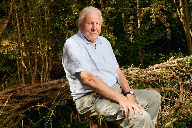 David Attenborough