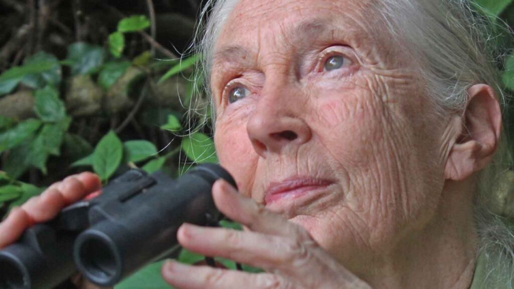 Jane Goodall